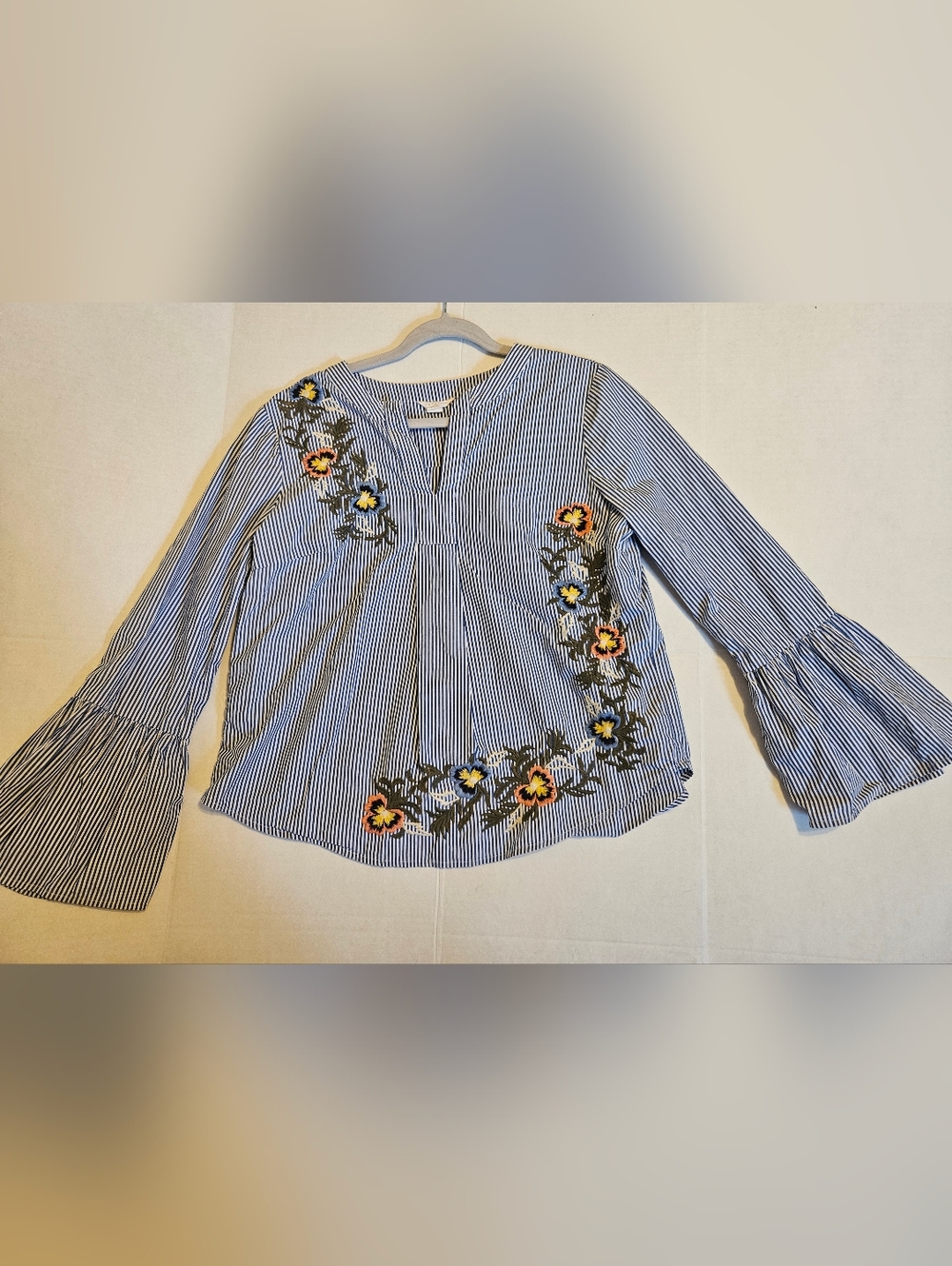 Striped Blue Floral Embroidered Women's Blouse
